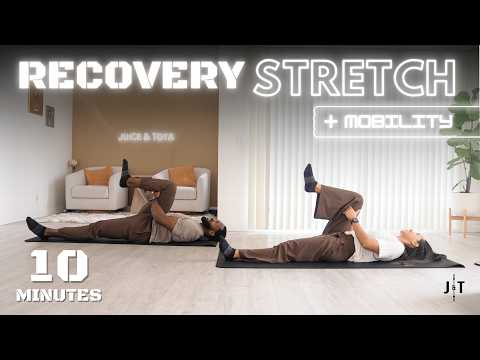 10 Minute Full Body Stretch & Mobility [Daily Routine]