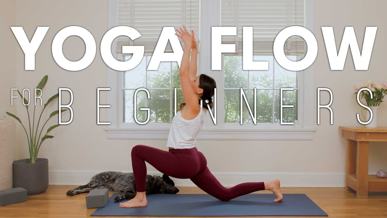 Yoga Flow for Beginners: Intro to Flow